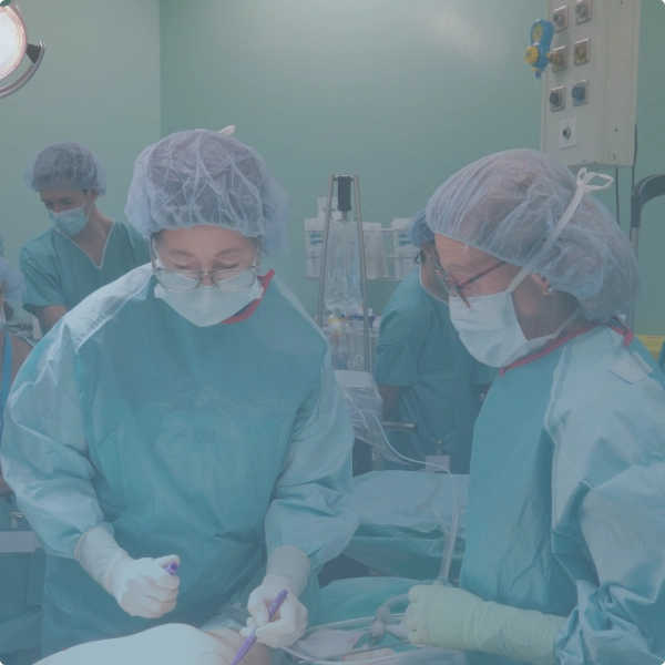 Hands On Lidepema Surgery